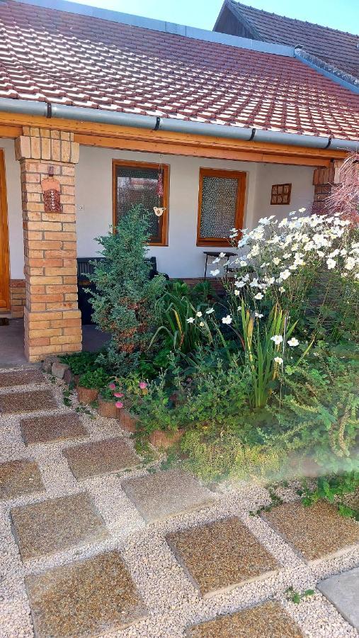 Mandula Apartament Segedyn